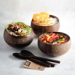 eco coconut bowl